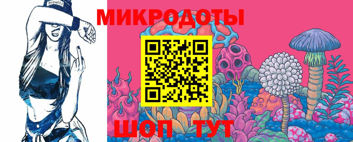 Псилоцибиновые грибы Cubensis  Вход с VPN  Анжеро-Судженск 